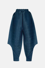Load image into Gallery viewer, Pleated Harem Pants with Pockets
